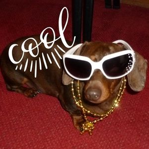 Meet your Posher, Val